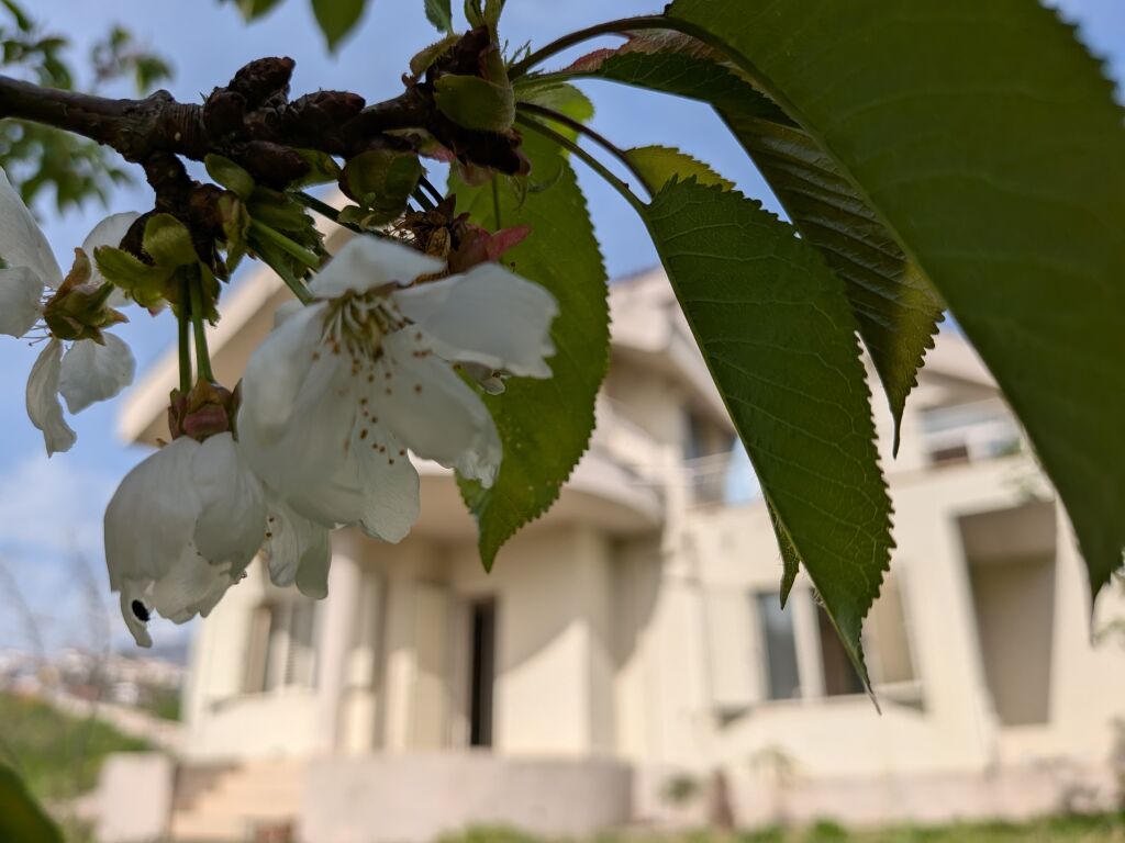 VILLA SU DUE PIANI IN VENDITA SITUATA NELLA ZONA DI SHKOZA!