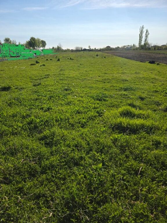 Land for sale in Barbullojë, Lezhë