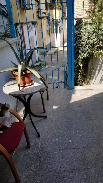 Jepet me qera 1+1 mobiluar private 40000 lek