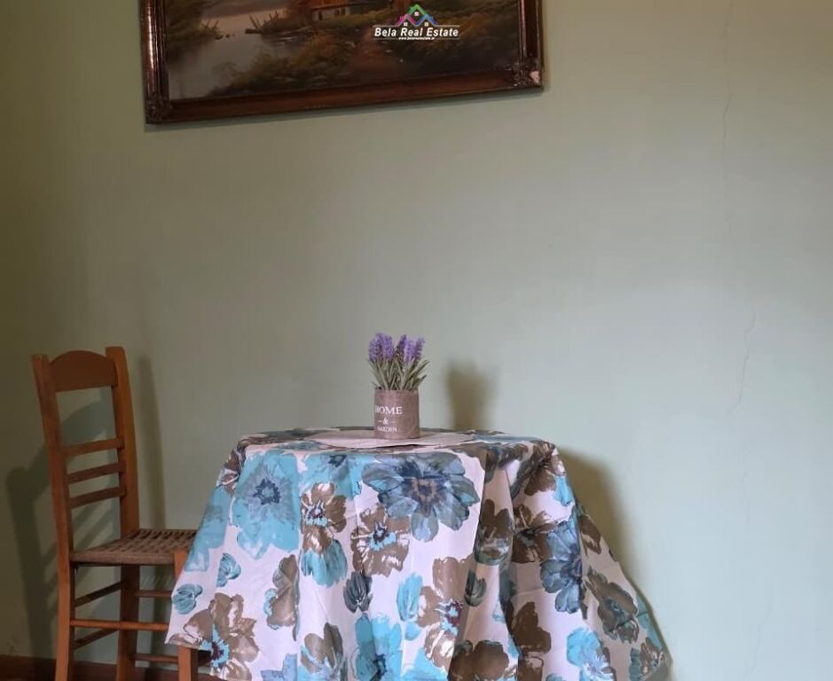 Vile Me Qera 1+1 Ne Myslym Shyr ( ID BV22570) Tirane