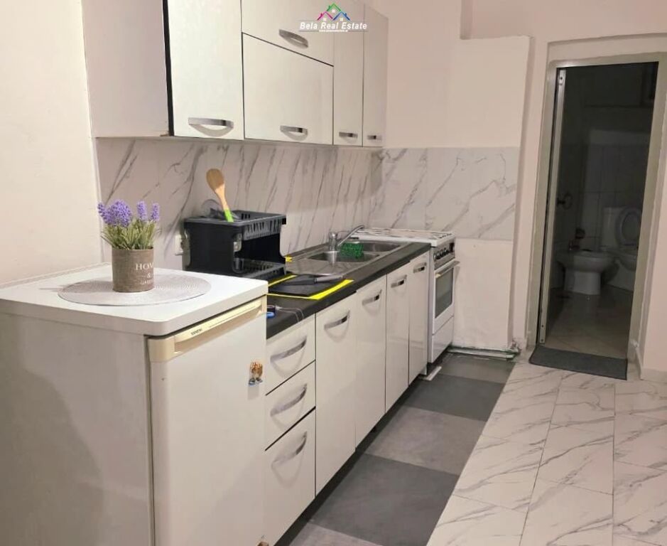 Vile Me Qera 1+1 Ne Myslym Shyr ( ID BV22570) Tirane