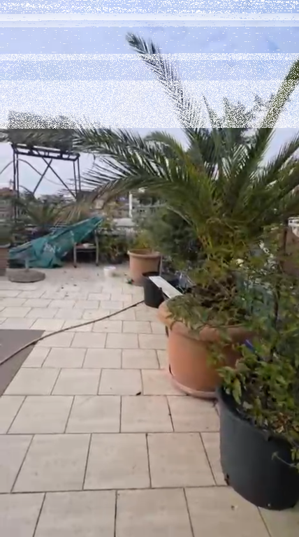 Dublex+Verande, 21 Dhjetori!