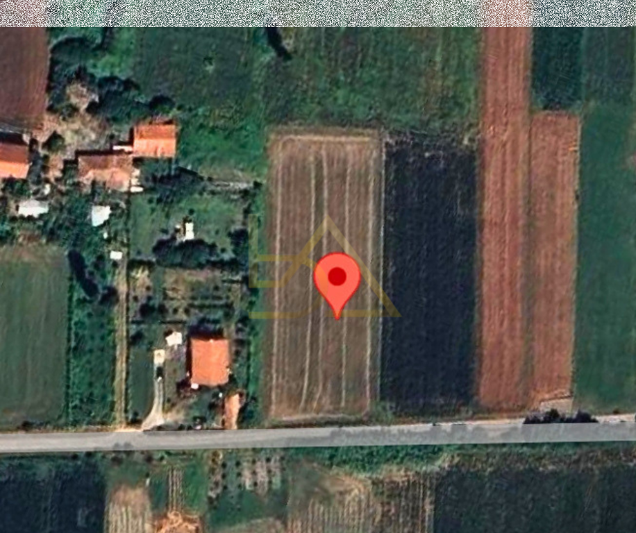 Shitet Tokë – Shënkoll, Lezhë