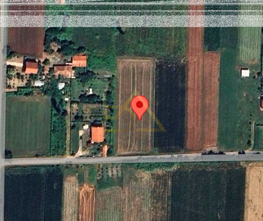 Shitet Tokë – Shënkoll, Lezhë