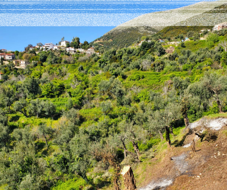 Shitet Tokë – Lukovë, Sarandë