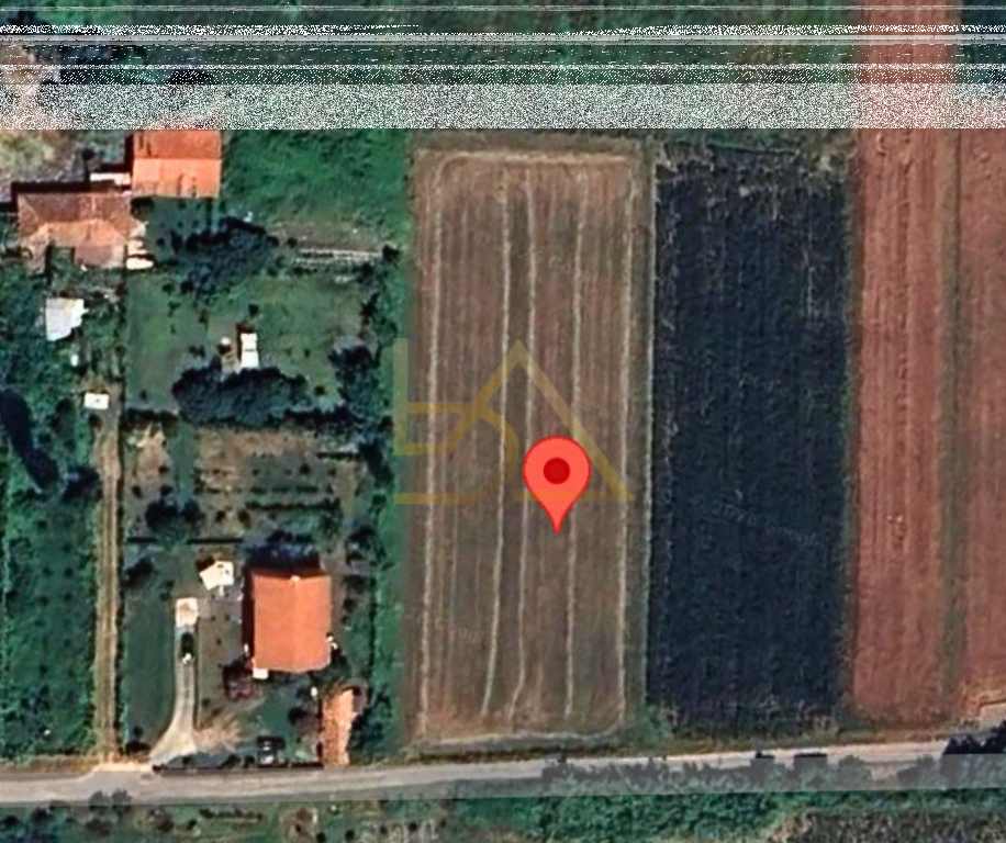 Shitet Tokë – Shënkoll, Lezhë