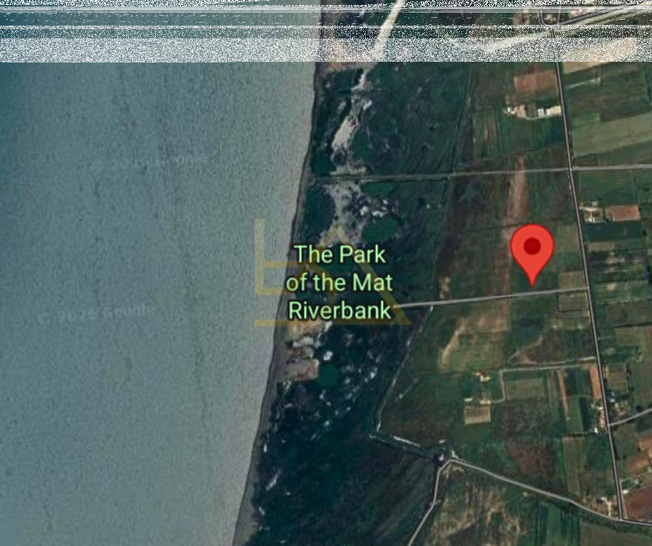 Shitet Tokë – Tale, Lezhë