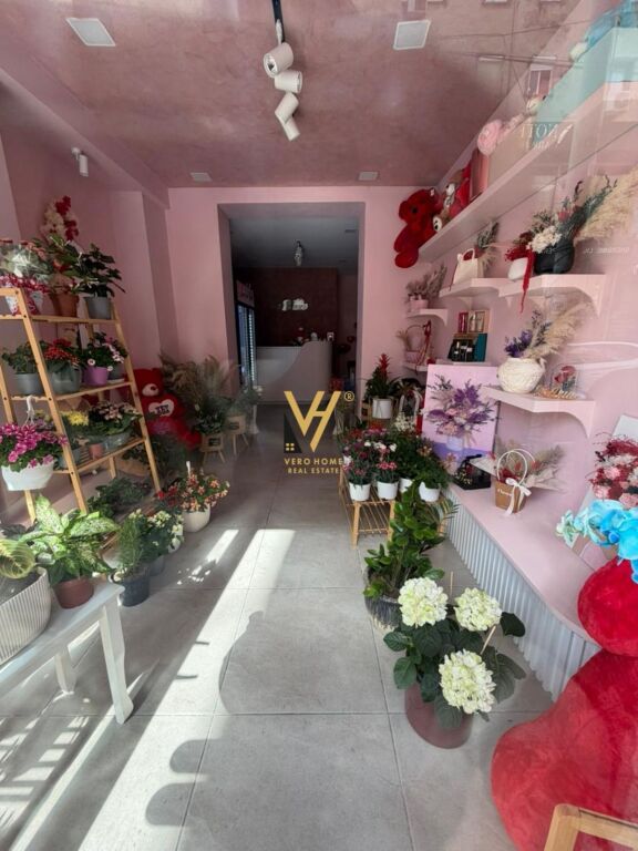 JEPET AMBIENT BIZNESI 31 M2 ME QERA TE MINE PEZA 60.000 LEKE