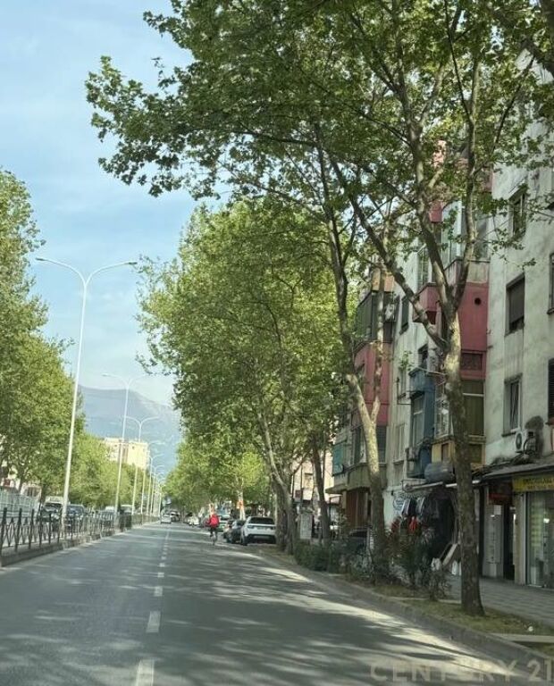 Ambient komercial per qira tek Harry Fultz