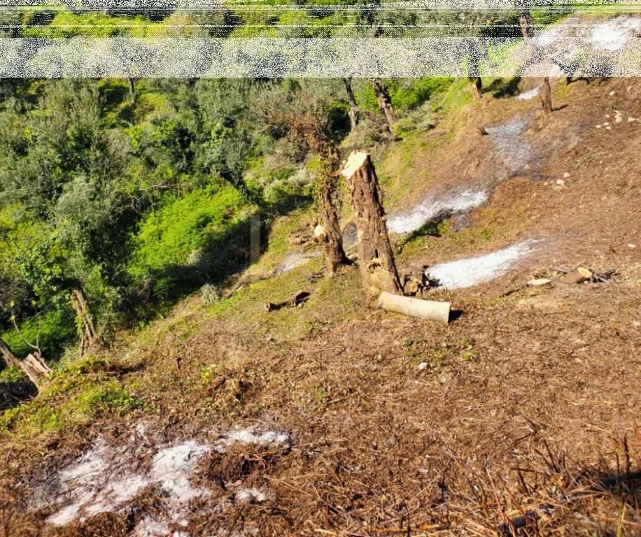 Shitet Tokë – Lukovë, Sarandë