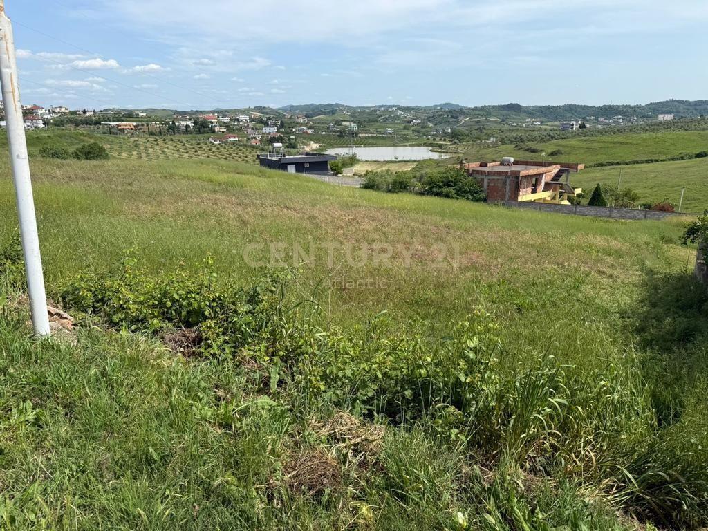 SHITET TOKE ME PAME LIQENI NE ARAPAJ 4319M2