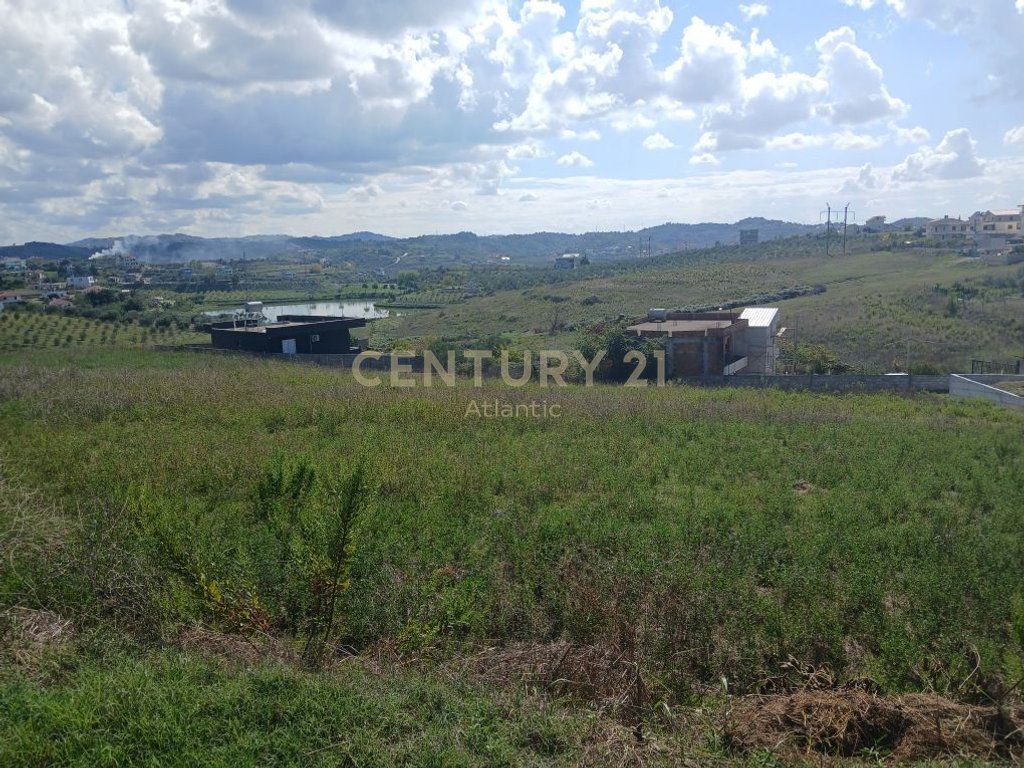 SHITET TOKE ME PAME LIQENI NE ARAPAJ 4319M2