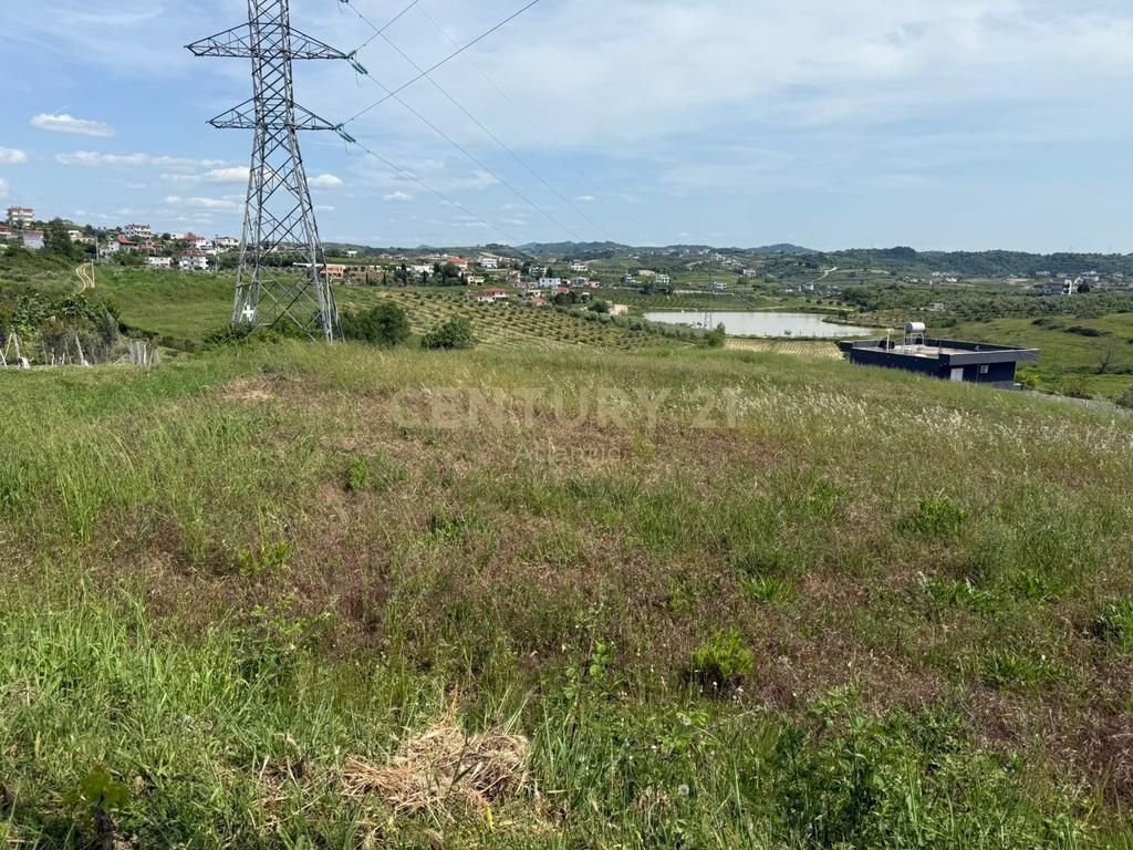 SHITET TOKE ME PAME LIQENI NE ARAPAJ 4319M2