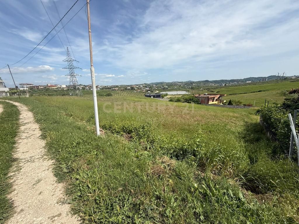 SHITET TOKE ME PAME LIQENI NE ARAPAJ 4319M2