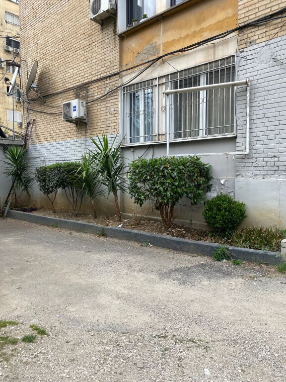 Brryli japim me qira 500 euro