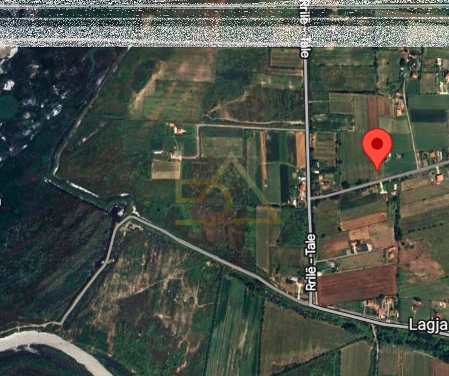 Shitet Tokë – Tale 2, Lezhë