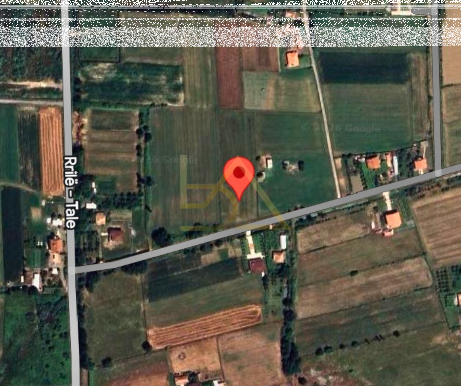 Shitet Tokë – Tale 2, Lezhë