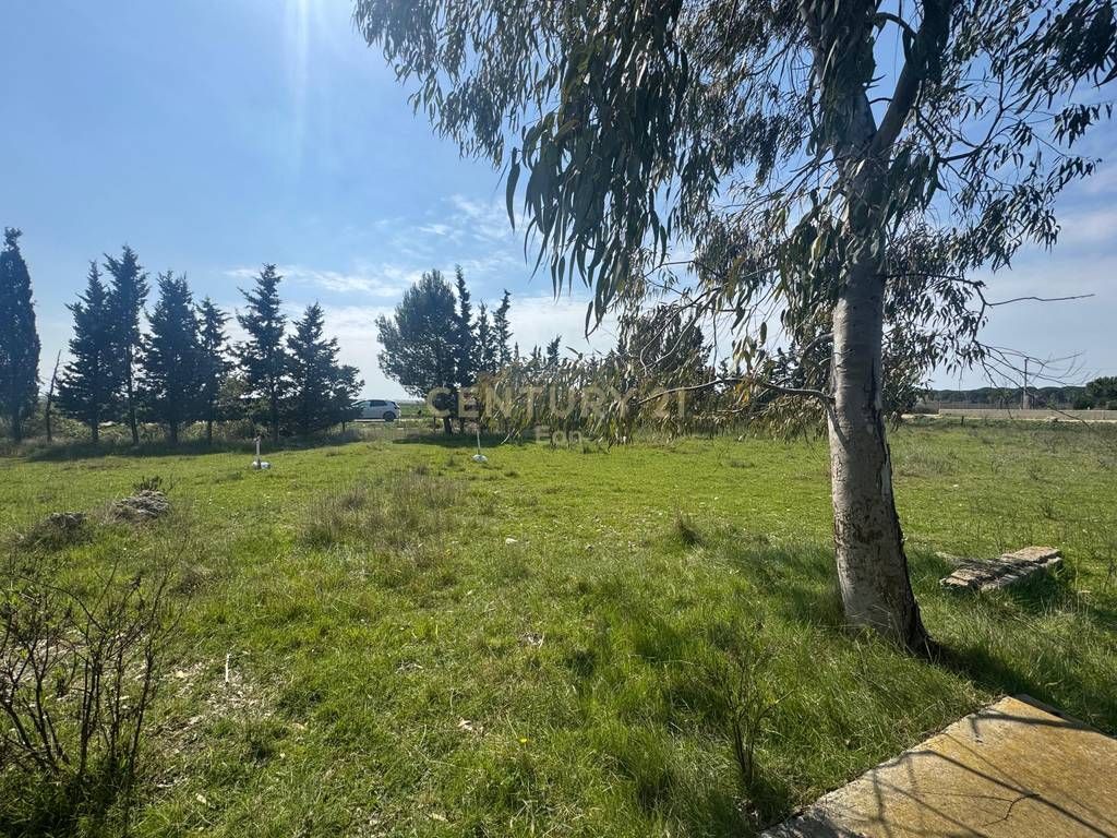 Tokë për Shitje në Spille, Vija e Dyte !