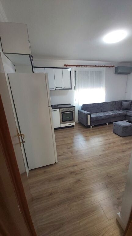 Super appartamento 2+1 presso il camino (congresso di Manastir)