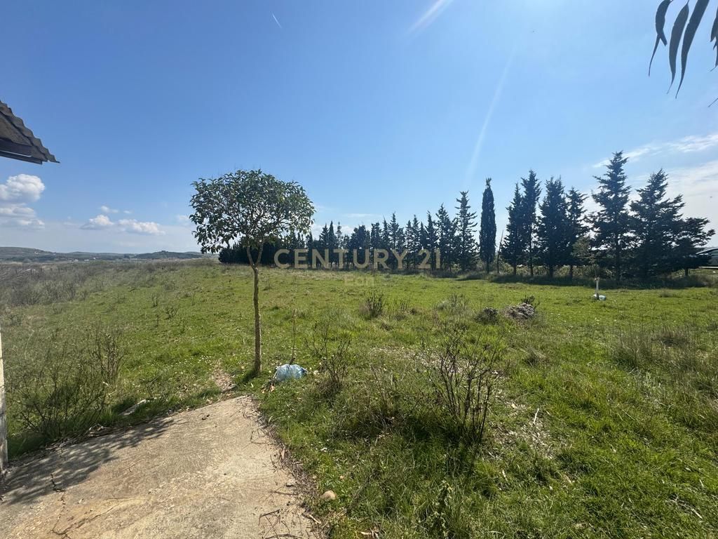 Tokë për Shitje në Spille, Vija e Dyte !