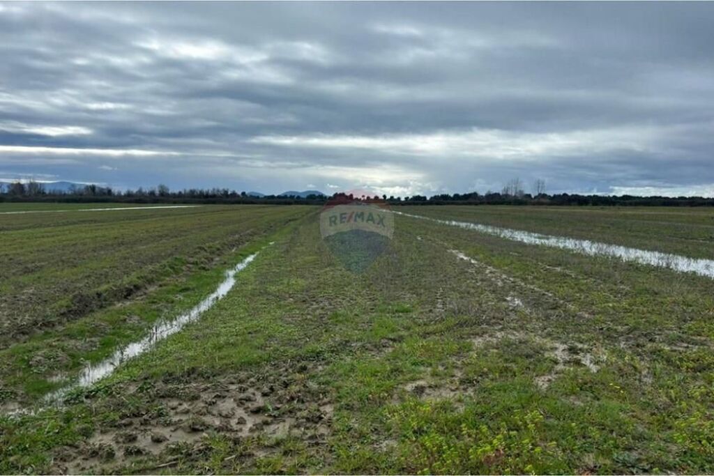 Tokë Bujqësore për Shitje – Poro, Vlorë
