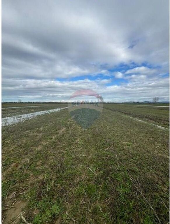 Tokë Bujqësore për Shitje – Poro, Vlorë