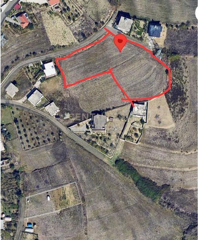 SHITET TOKE ME PAME LIQENI NE ARAPAJ 4319M2