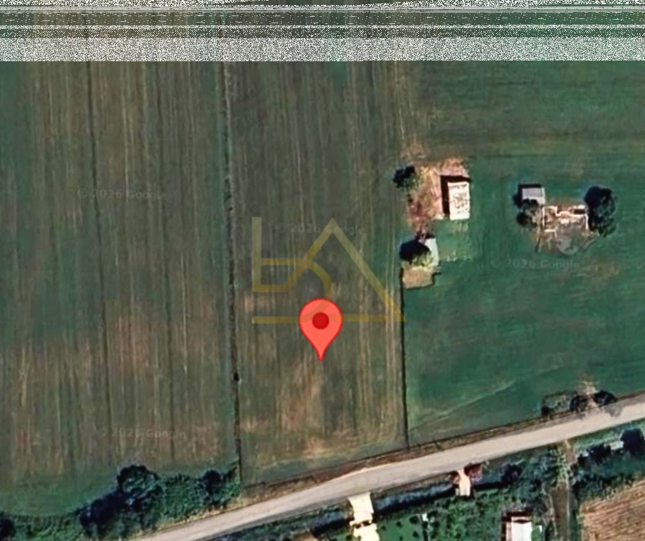 Shitet Tokë – Tale 2, Lezhë