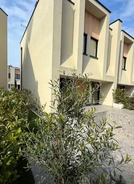 SHITET VILE 2 KATESHE PRANE PISHAVE QERRET, GOLEM