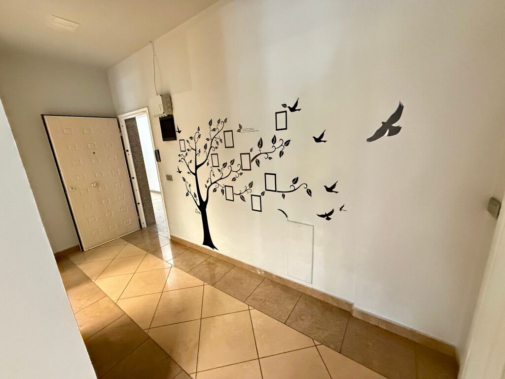 📣 QERA Ambient Zyre 📍 Prane RTSH ✨