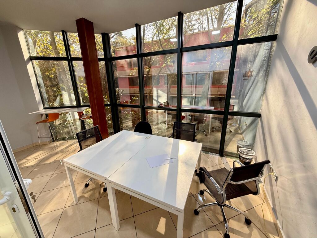 📣 QERA Ambient Zyre 📍 Prane RTSH ✨