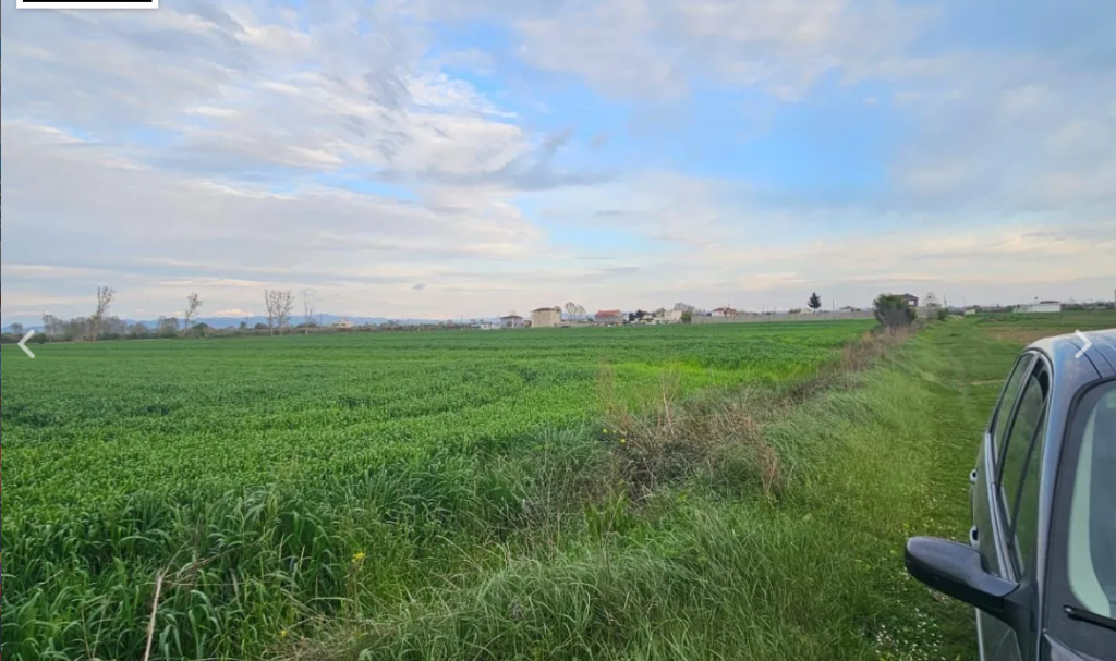 Shitet Toke Are ne Fllake