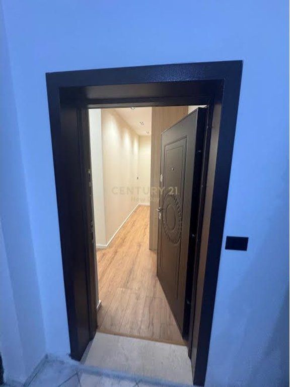 1+1 ME QIRA PRANE BLUE STAR