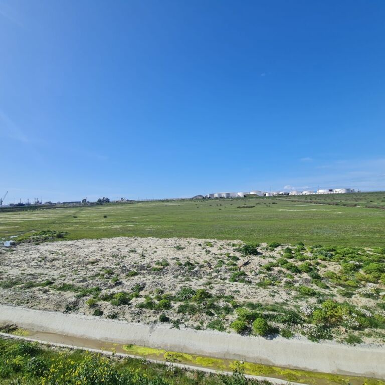 SHITEN 11.7 DYLYM TOKE NE PORTOROMANO PRAN PORTIT TE RI