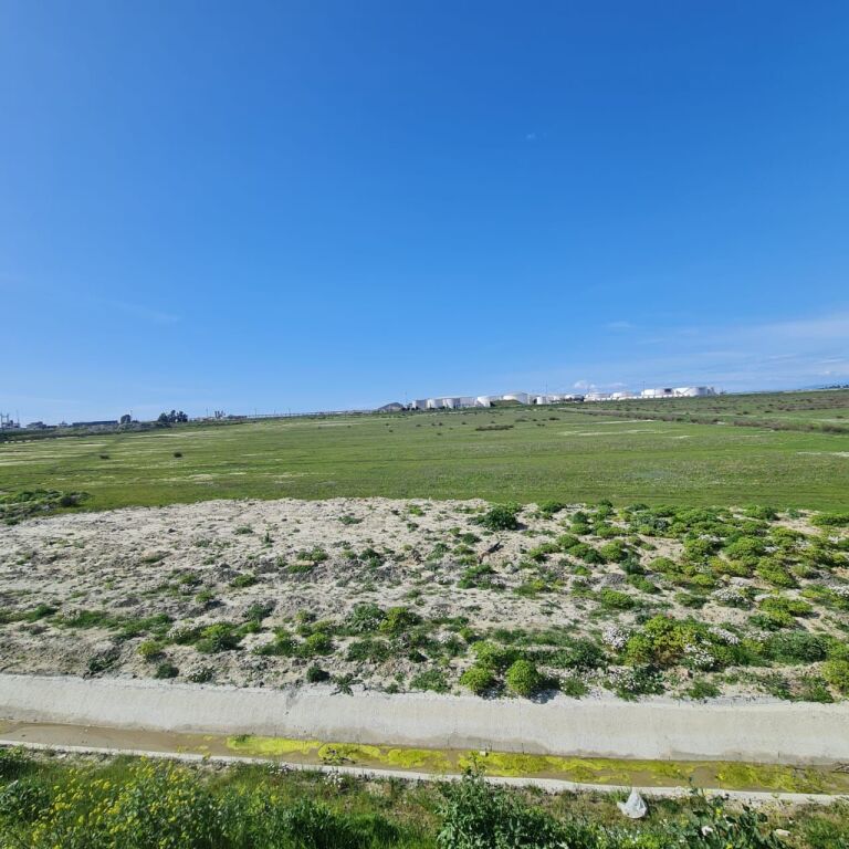 SHITEN 11.7 DYLYM TOKE NE PORTOROMANO PRAN PORTIT TE RI