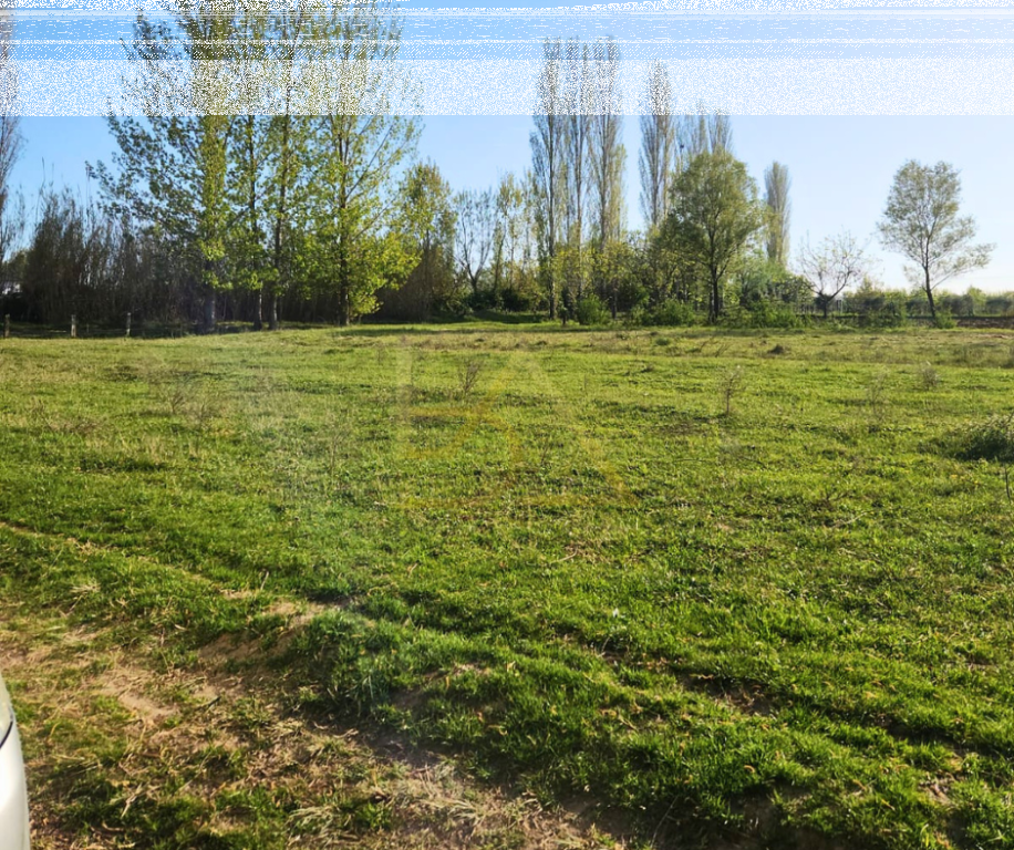Land for Sale – Tale, Lezhë