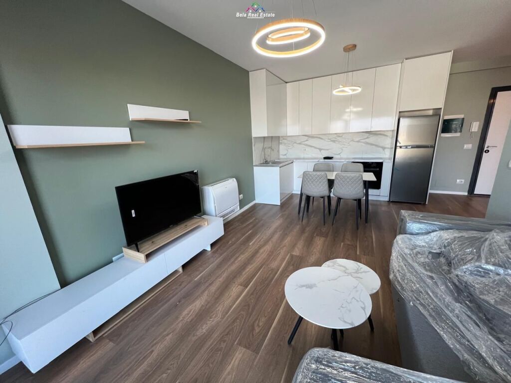 Apartment For Rent 1+1 Near Old Customs (ID B2101646) Tirana