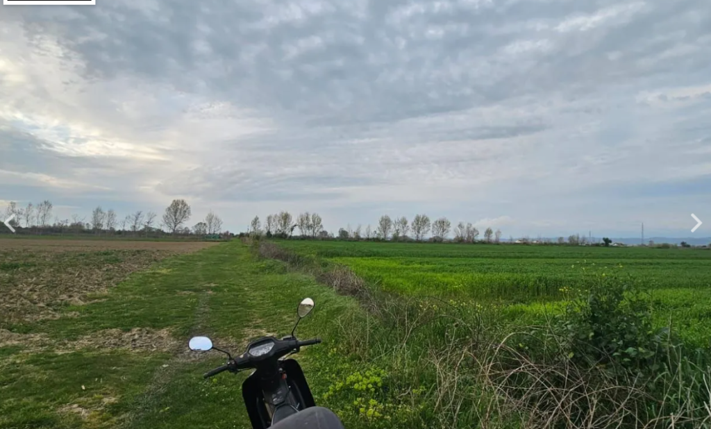 Shitet Toke Are ne Fllake