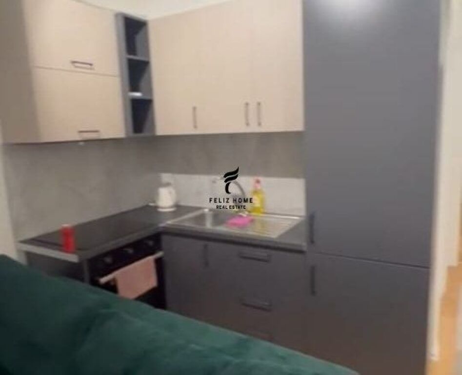 APARTMENT FOR RENT 1+1 SELITE 50,000 LEKE FH-69600