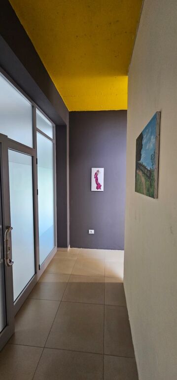 SHITET AMBIENT BIZNESI 100 M2 200.000 EURO PRAN KOLEGJIT ENEIDA