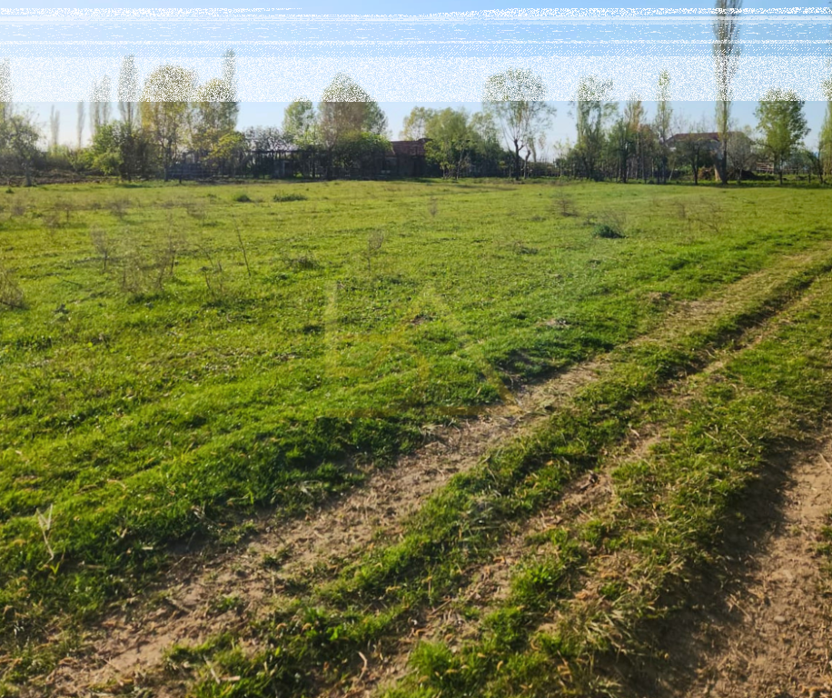 Land for Sale – Tale, Lezhë