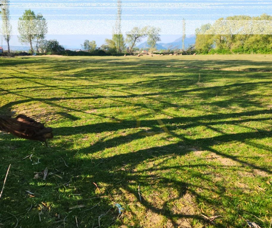 Land for Sale – Tale, Lezhë