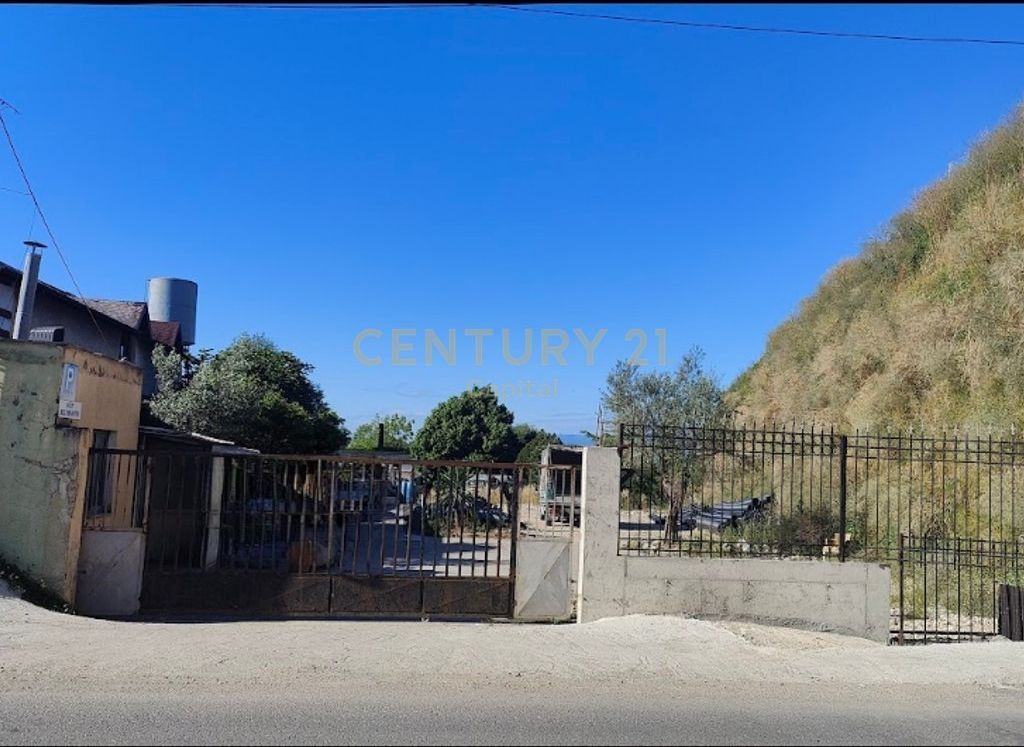 Shesim toke truall ne rrugen dytesore prane City Park!