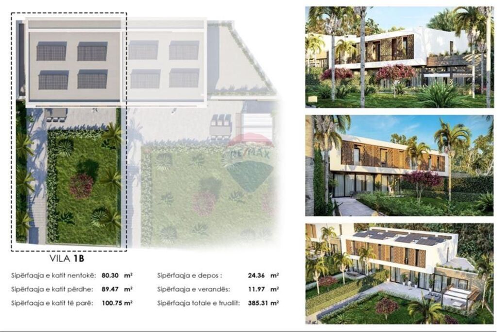 Shesim vile prane TEG!
