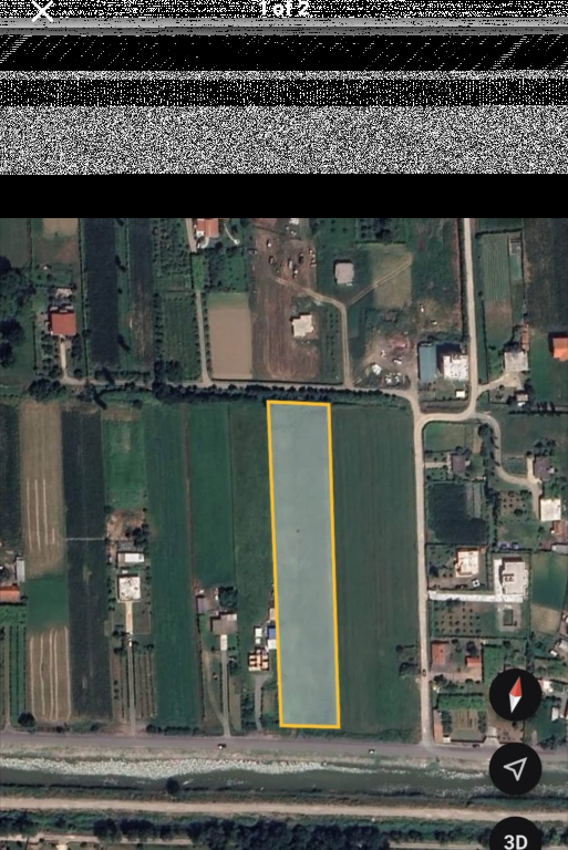 SHITET TOKE NE TALE,LEZHE