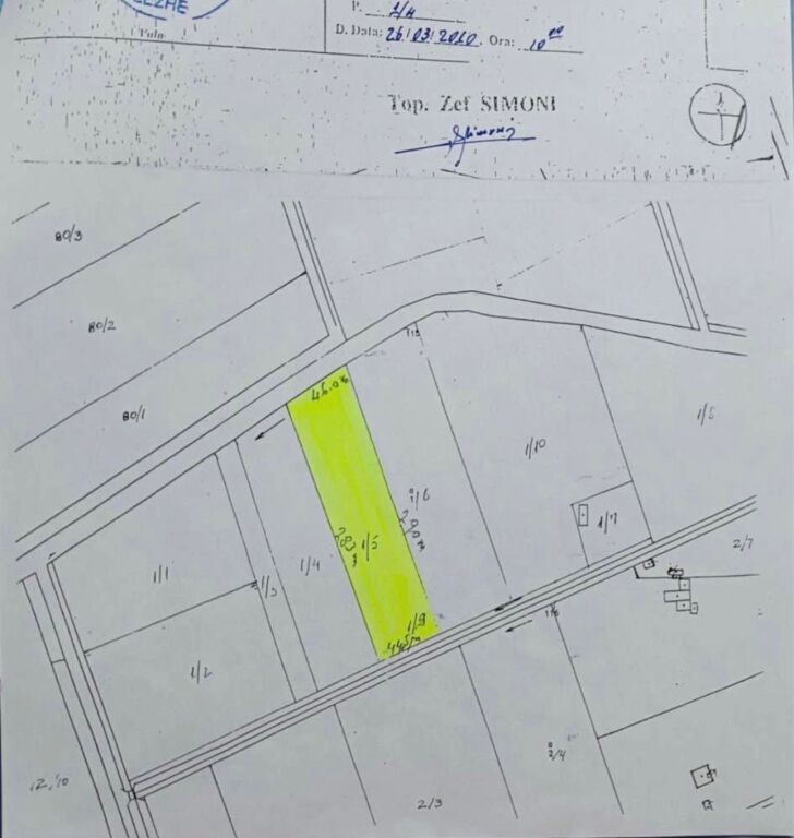 SHITET TOKE NE TALE,LEZHE