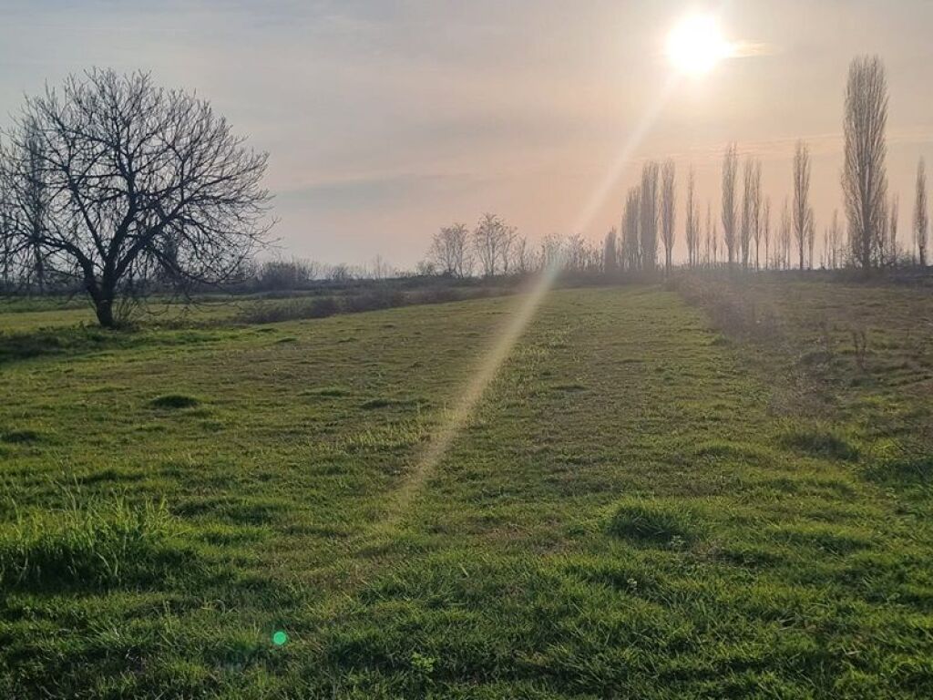 Ishull Lezhë shitet tokë