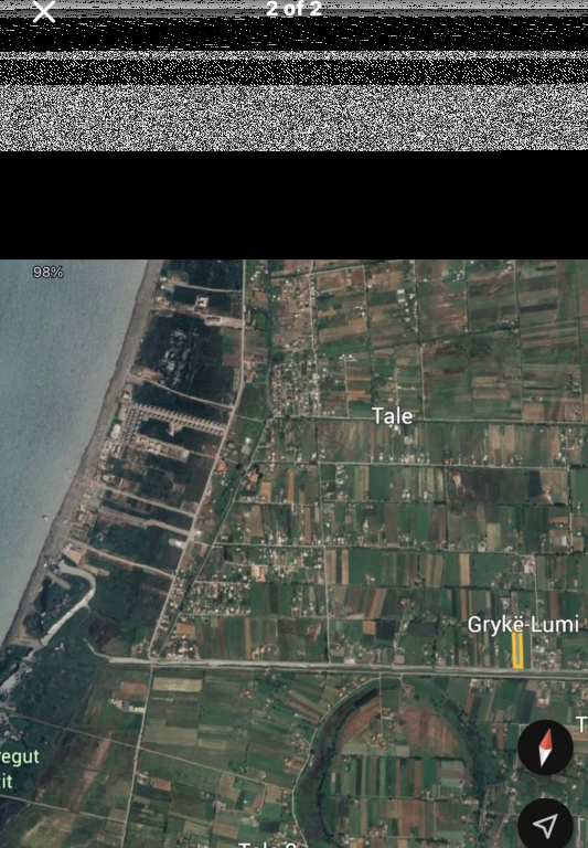 SHITET TOKE NE TALE,LEZHE