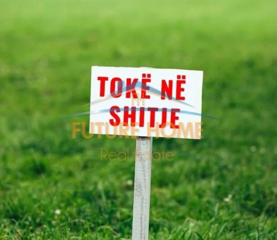 Shitet, Toke, Kombinat