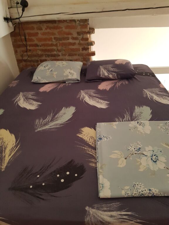 Affitto | Garzoniere | Qender | 500 €/mese